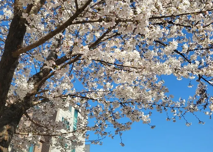 Apartamento Hongdae # S101 *